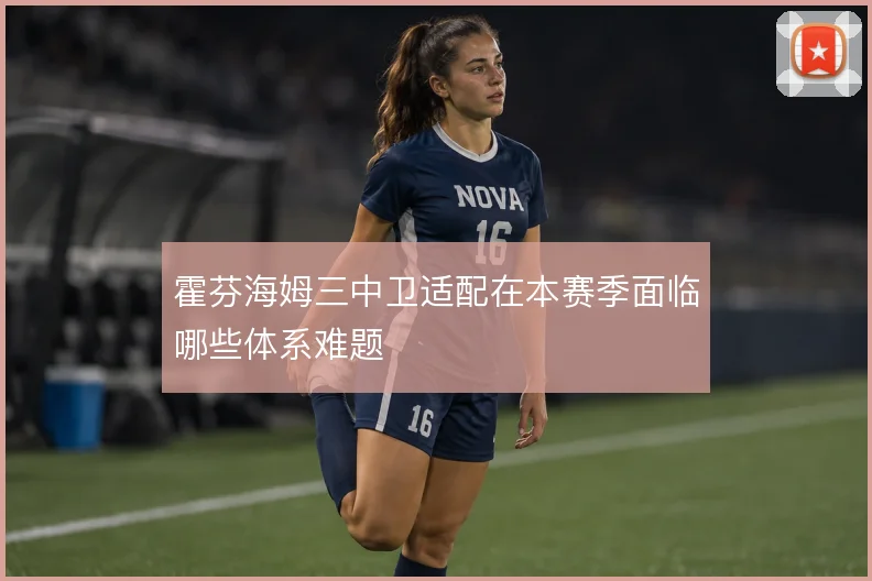 霍芬海姆三中卫适配在本赛季面临哪些体系难题