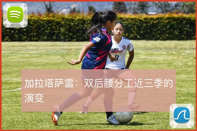 加拉塔萨雷:双后腰分工近三季的演变
