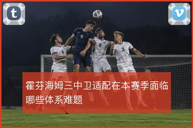 霍芬海姆三中卫适配在本赛季面临哪些体系难题